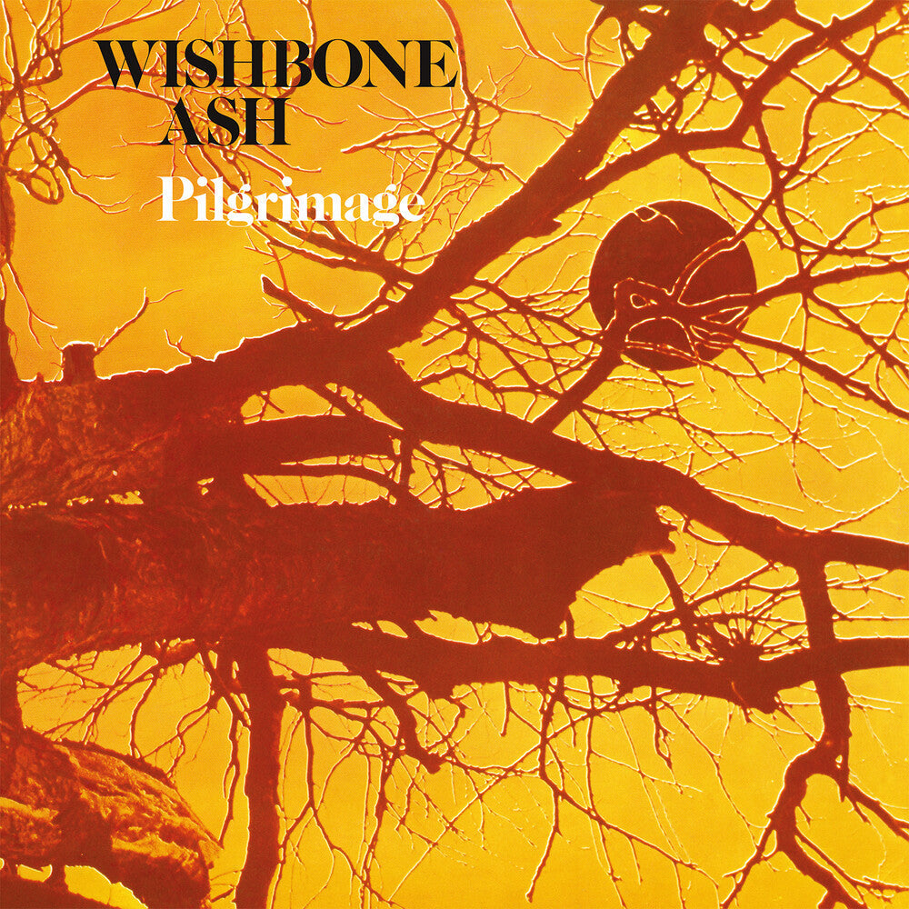Wishbone Ash- Pilgrimage [180 Gram] (Uk) - VINYL