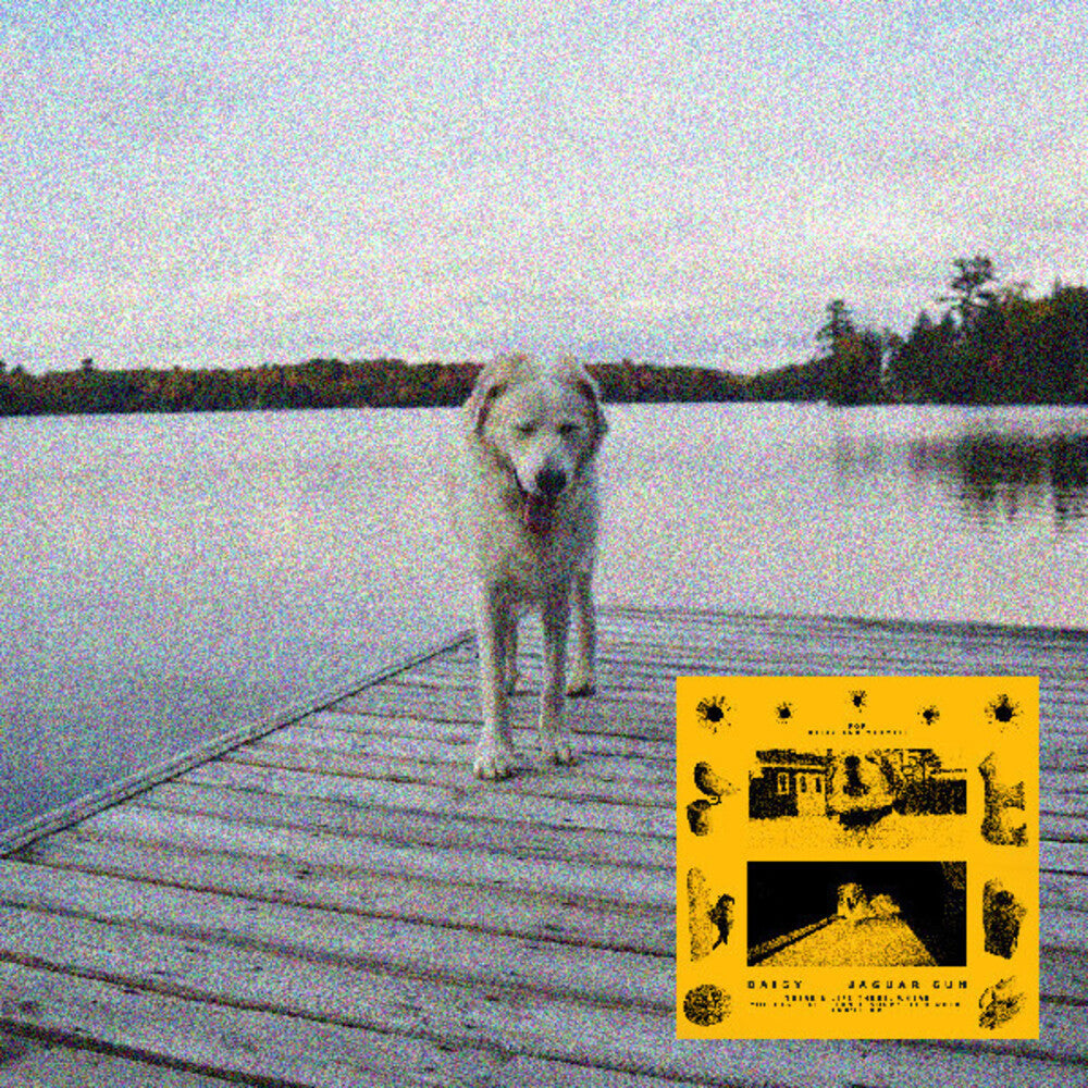 Jaguar Sun- Daisy (Blk) [Colored Vinyl] (Ylw) - VINYL