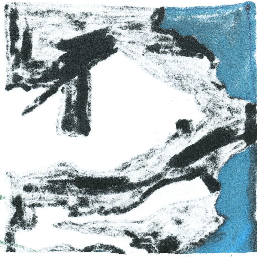 Accessory- Dust - VINYL