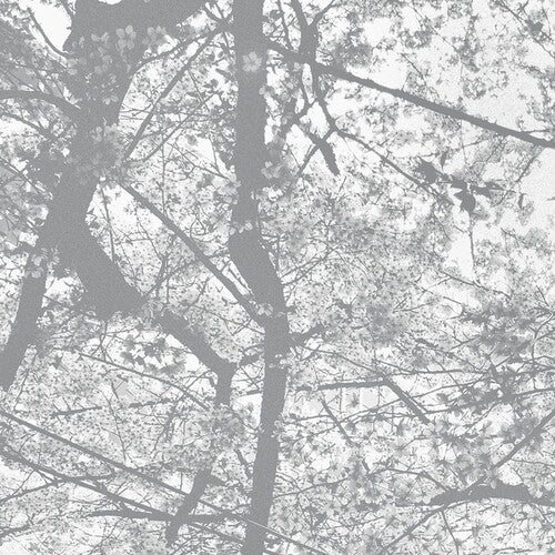 Black Rain: Obliteration Bliss  \ CD