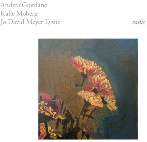 Giordano, Andrea / Moberg, Kalle: Radis \ LP