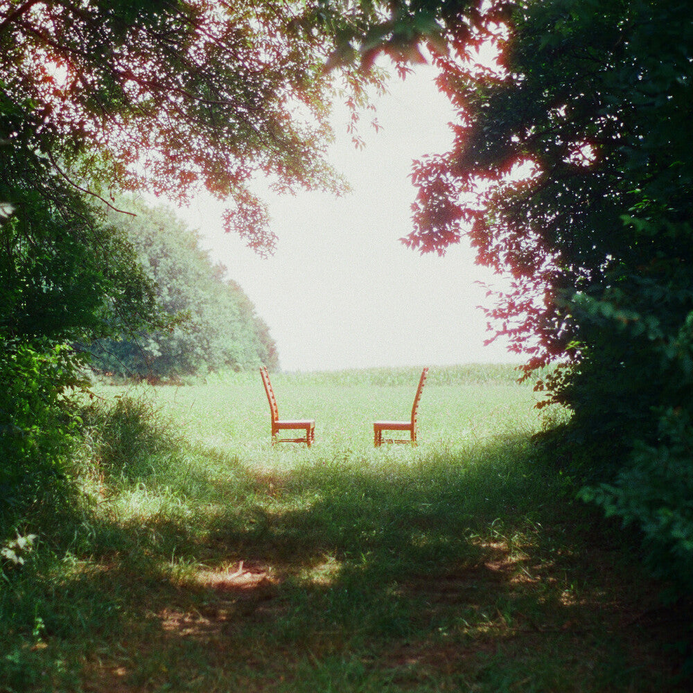 Ratboys- Singin' to an Empty Chair [Indie Exclusive Brown and Green Marbled] - VINYL