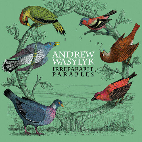 Andrew Wasylyk: Irreparable Parables - Pink Vinyl \ LP