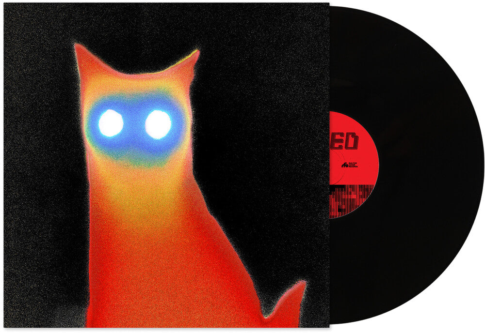 Basement- Wired - VINYL