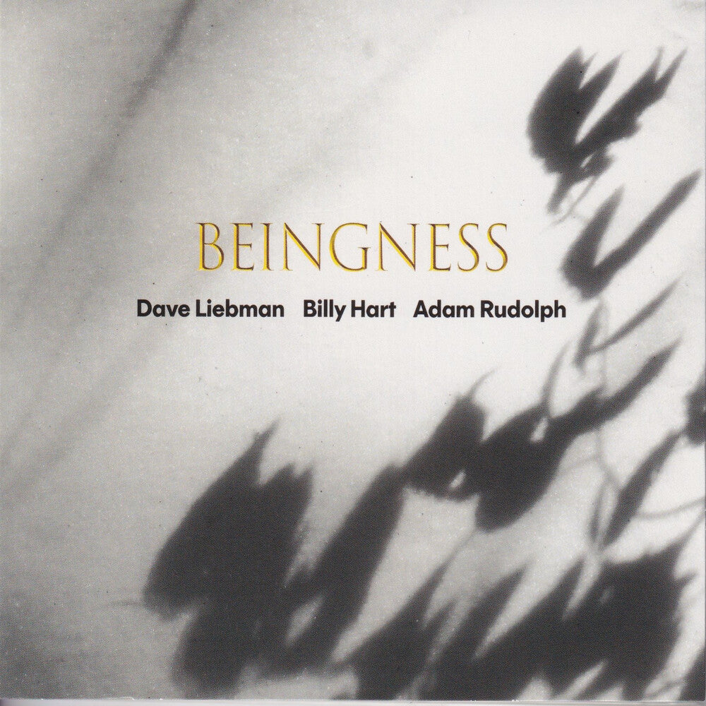 Dave Leibman / Hart,Billy / Rudolph,Adam- Beingness [Colored Vinyl] [Limited Edition] [180 Gram] - VINYL