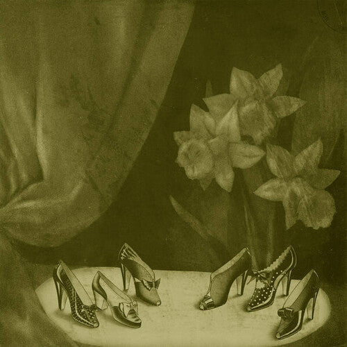 Alice Cohen: Into The Grey Salons \ LP