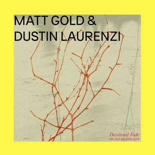Gold, Matt / Laurenzi, Dustin: Devotional Fade \ LP