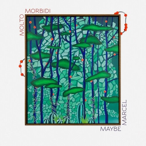 Molto Morbidi: Maybe Marcel \ LP