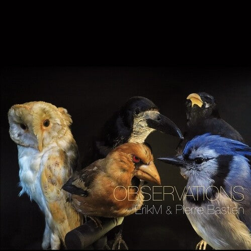 Erikm / Pierre Bastien: Observations \ LP