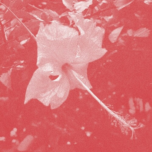 Celer: Poulaine  \ CD