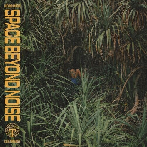 Not Even Noticed: Space Beyond Noise \ LP