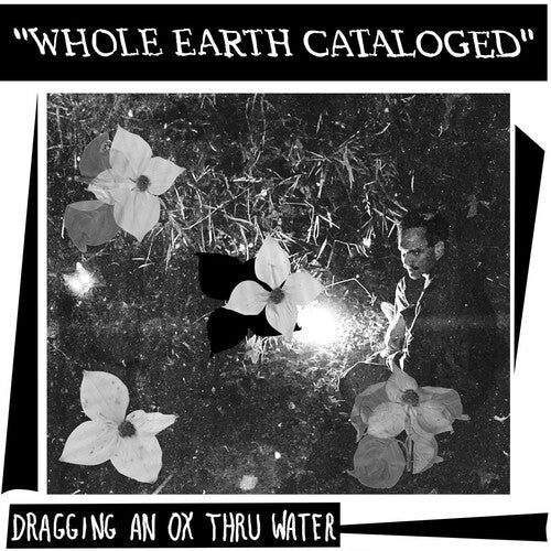 Dragging An Ox Through Water: Whole Earth Catalogued \ LP