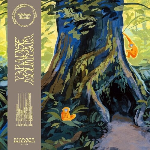 Katatonic Silentio: Paradise Mountain \ LP