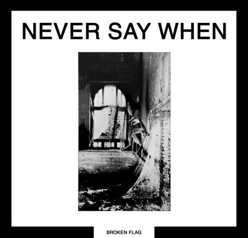 Various Artists: Never Say When \ LP