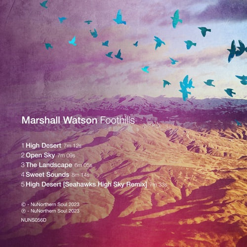 Marshall Watson- Foothills - VINYL
