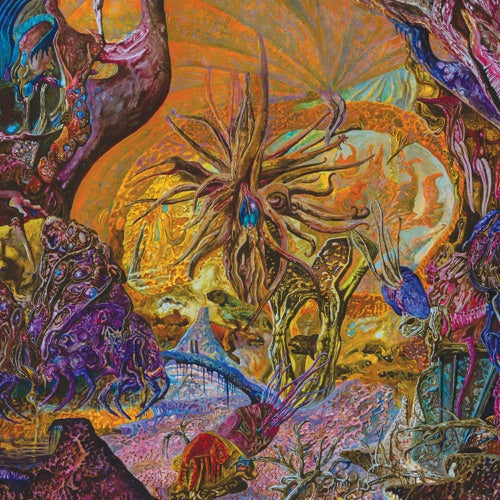 Chytridiomycosis Relinquished - Orange/royal Blue - VINYL