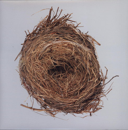 Wilco: A Ghost Is Born \ LP