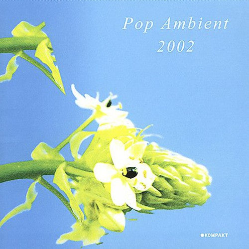 Various Artists: Pop Ambient \ LP