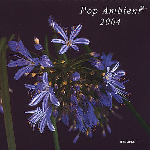 Various Artists: Pop Ambient 2004 \ LP