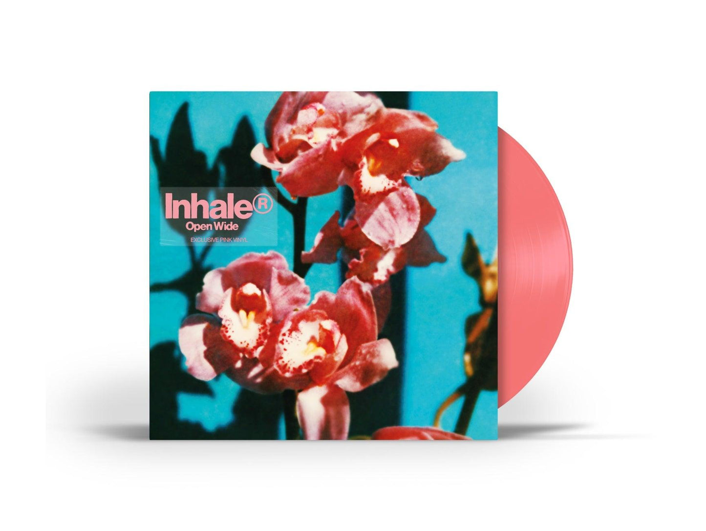 Inhaler- Open Wide [Pink LP] (Indie Exclusive Vinyl) - VINYL