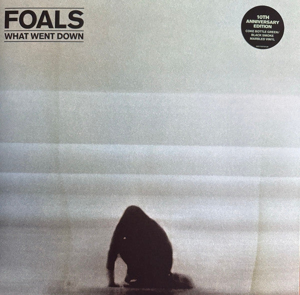 Foals- What Went Down - VINYL