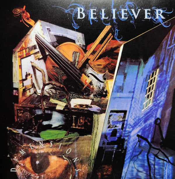 Believer- Dimensions - VINYL