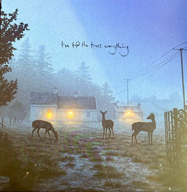 Dermot Kennedy- I've Told The Trees Everything - VINYL