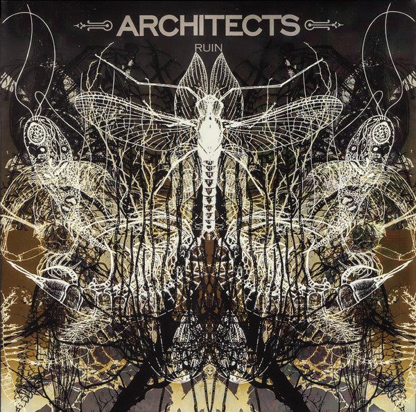 Architects- Ruin - VINYL