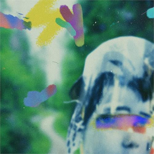 Team Me- Something In The Making - VINYL