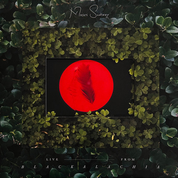 Moses Sumney- Live From Blackalachia - Opaque Red Colored Vinyl - VINYL