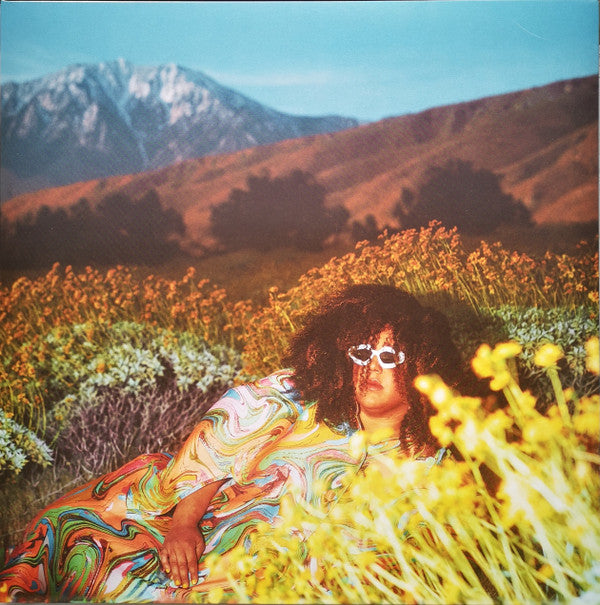 Brittany Howard- What Now - VINYL