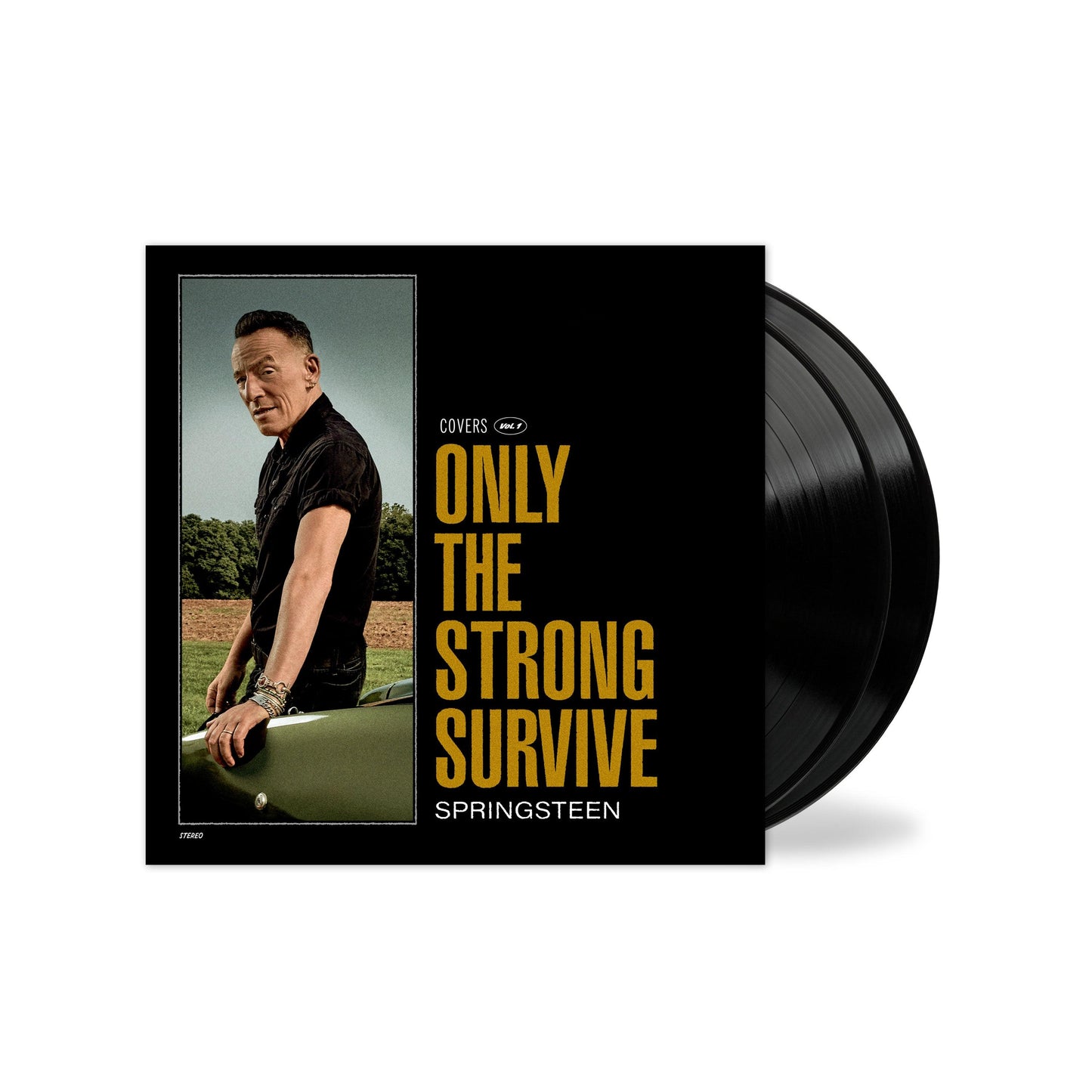 Bruce Springsteen- Only The Strong Survive - VINYL