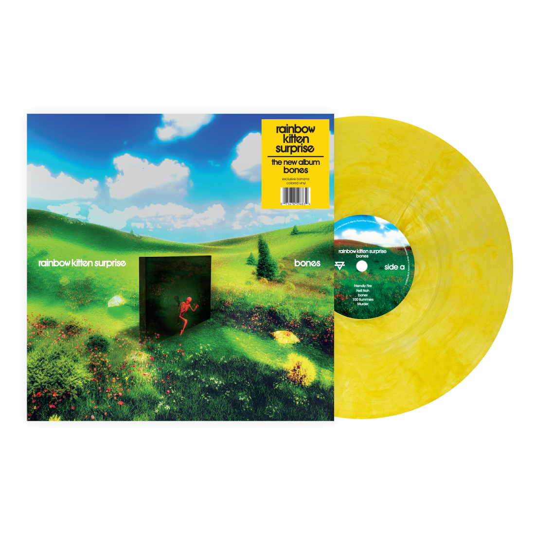 Rainbow Kitten Surprise- bones (Indie Exclusive Banana Vinyl) - VINYL