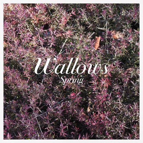Wallows- Spring EP - VINYL