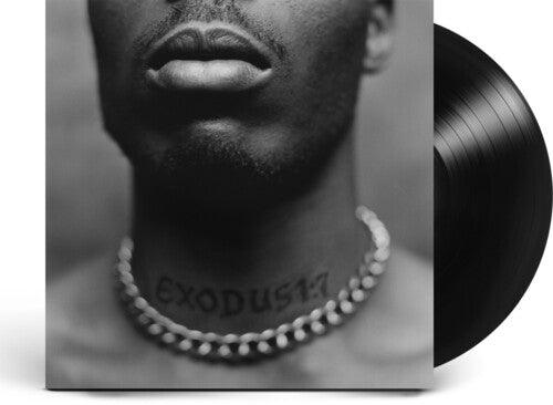 DMX- Exodus - VINYL