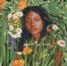 Joy Oladokun- Proof Of Life (Indie Exclusive Vinyl) (Signed Insert) - VINYL