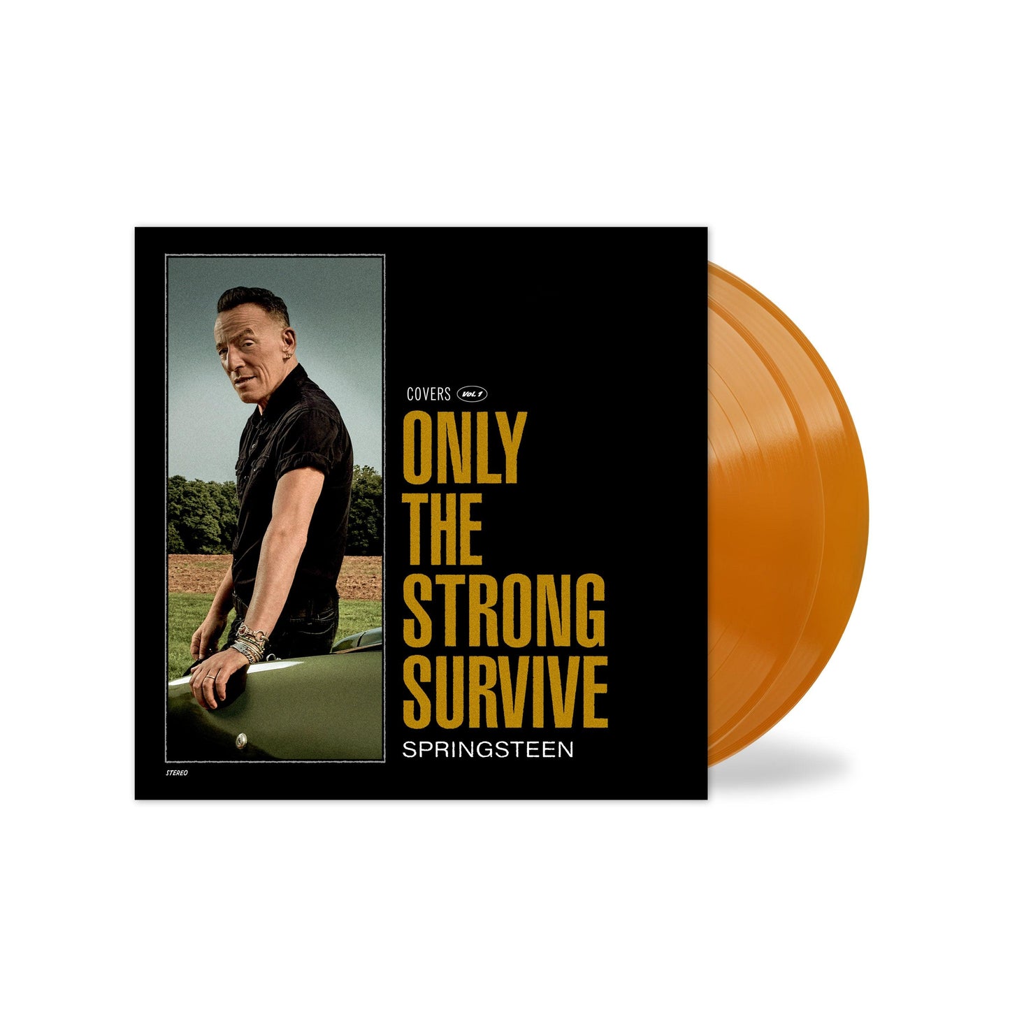Bruce Springsteen- Only The Strong Survive (Indie Exclusive Orbit Orange Vinyl) - VINYL