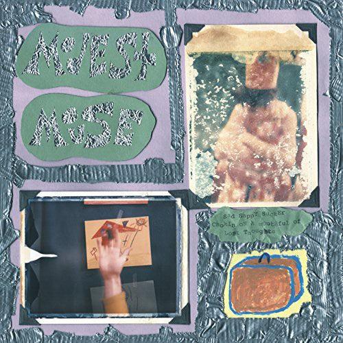 Modest Mouse- Sad Sappy Sucker - VINYL