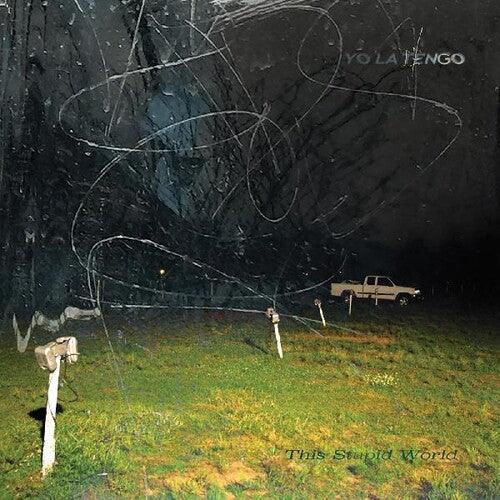 Yo La Tengo- This Stupid World - VINYL
