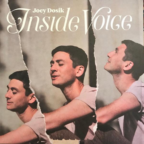 Joey Dosik (Vulfpeck)- Inside Voice - VINYL