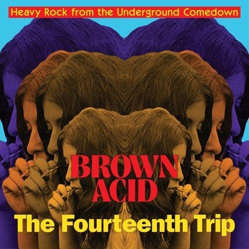 Various- Brown Acid: Fourteenth Trip - VINYL