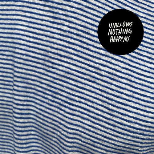 Wallows- Nothing Happens - VINYL